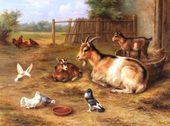 埃德加 亨特 A farmyard Scene With Goats Chickens Doves